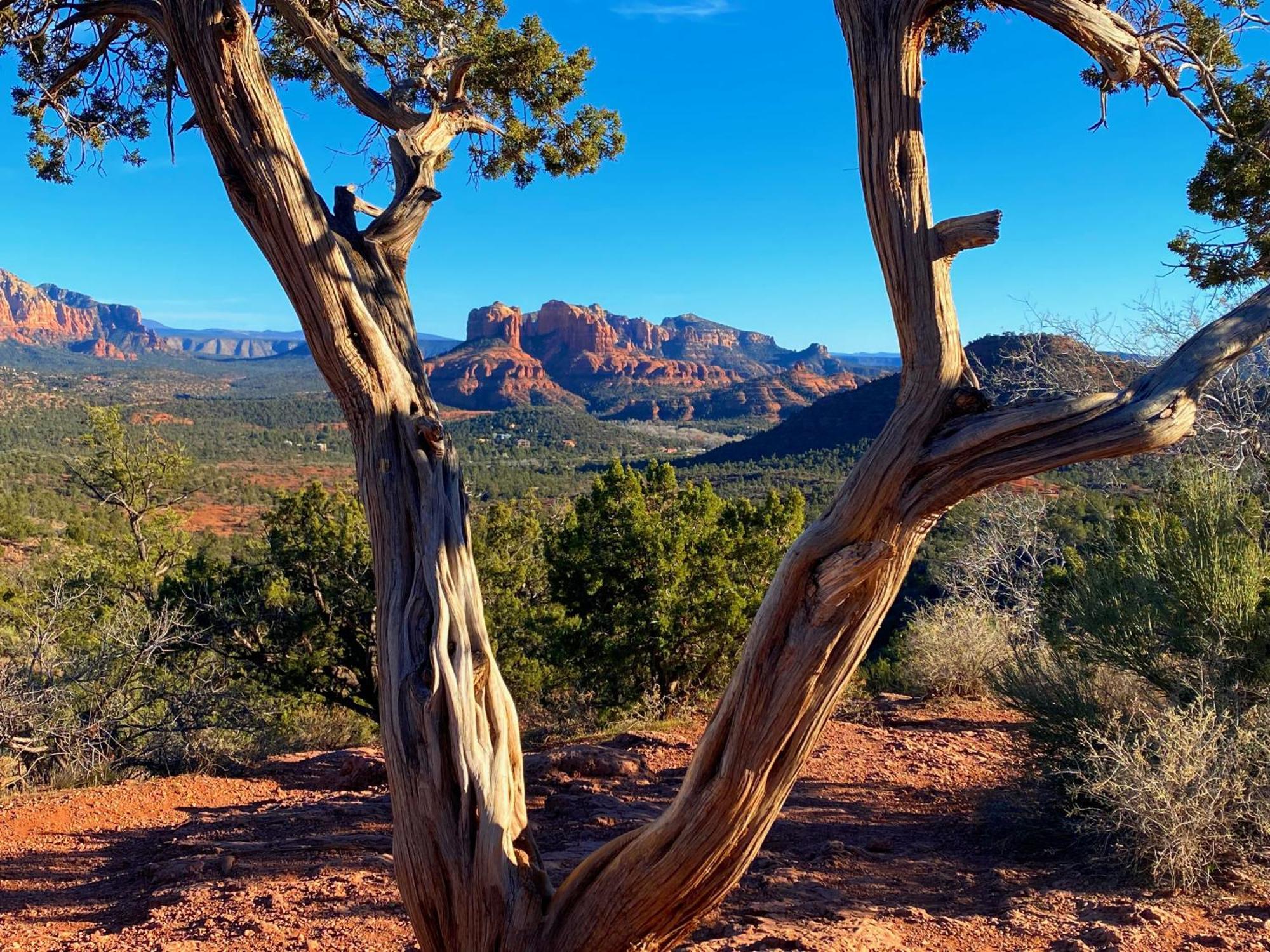 Sedona'S Paradise Found, Saltwater Pool And Hot Tub, Private Oasis! Dış mekan fotoğraf